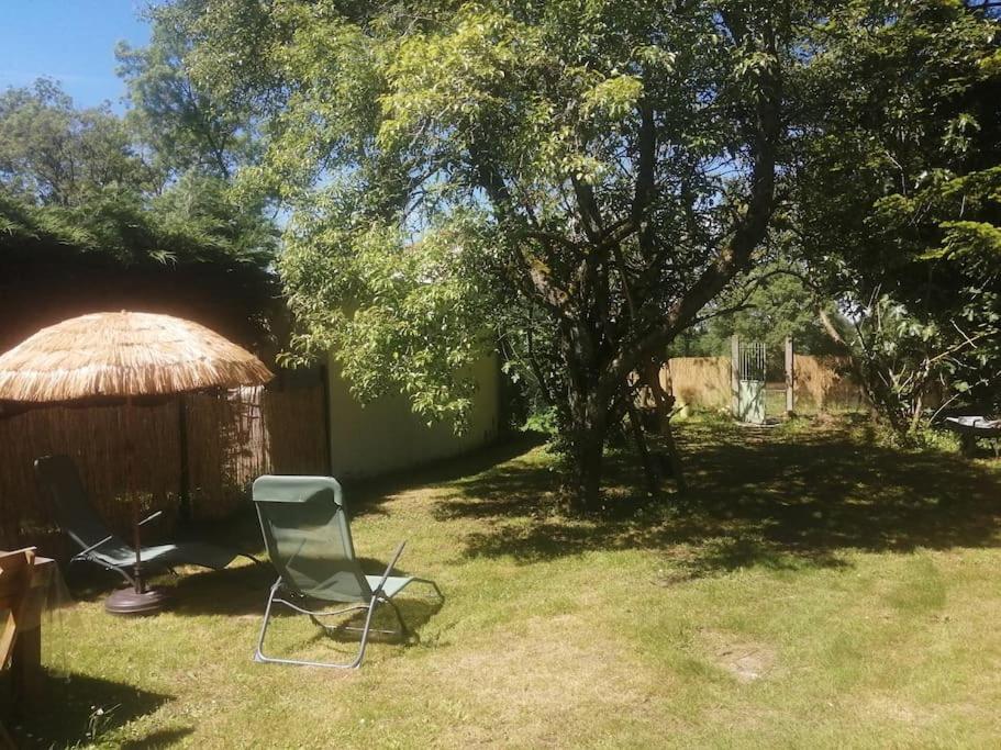 Maison " Bouton D'Or" Au Bord De L'Eau, A 10 Mn De Tours , Meuble Classe Une Etoile Saint-Avertin Buitenkant foto